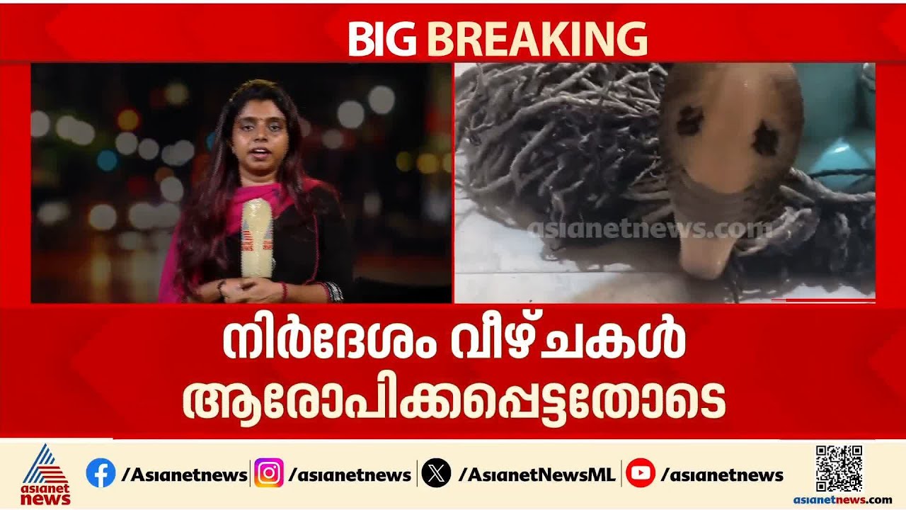 പാമ്പ് കടിയേറ്റ ആദ്യ മണിക്കൂര്‍ നിര്‍ണായകം; ജാഗ്രത പാലിക്കാന്‍ ഡോക്ടര്‍മാര്‍ക്ക് നിര്‍ദേശം | Snake