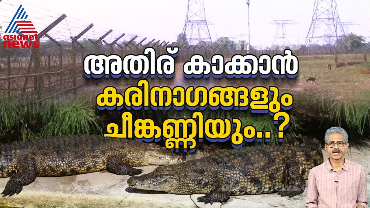 നുഴഞ്ഞുകയറ്റക്കാരെ തടയാൻ വിഷജന്തുക്കളെ ഇറക്കാൻ നീക്കം; അന്ന് മുതലകളെ വിട്ട സംഭവം മറക്കരുത്