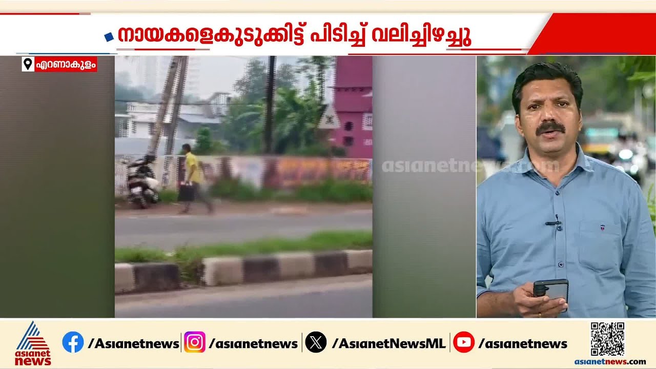 തെരുവ് നായകളെ കുടുക്കിട്ട് വലിച്ചിഴച്ച് ശേഷം കൊന്ന സംഭവം; രണ്ട് പേര്‍ പിടിയിൽ
