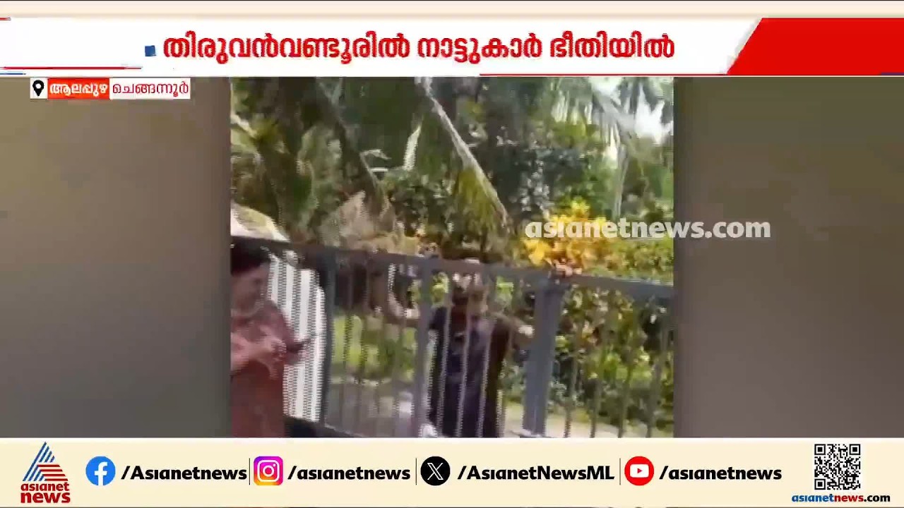 'വടിവാളിന് വെട്ടി റെഡിയാക്കും' നാട്ടുകാരെ ഭീതിയിലാഴ്‌ത്തി ലഹരിസംഘത്തിന്‍റെ അഴിഞ്ഞാട്ടം | Chengannur