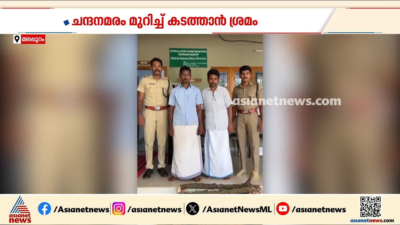 മലപ്പുറത്ത് ചന്ദനമരം മുറിച്ച് കടത്താൻ ശ്രമം; 100 കിലോയോളം ചന്ദനത്തടി പിടിച്ചെടുത്തു|Sandalwood Theft