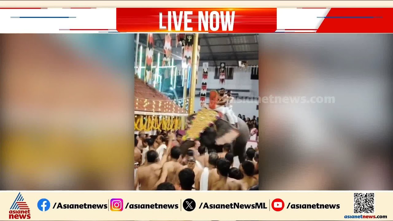 കൊയിലാണ്ടി അരയൻകാവിൽ ഉത്സവത്തിനിടെ ആനയിടഞ്ഞു; ഒരാൾക്ക് പരിക്ക്| Koyilandy