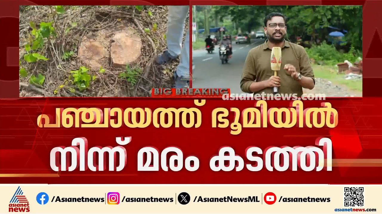 ചില്ല മുറിച്ചുമാറ്റാനെന്ന മറവിൽ പഞ്ചായത്ത് ഭൂമിയിലെ ലക്ഷങ്ങൾ വില വരുന്ന മരങ്ങൾ മുറിച്ച് കടത്തി