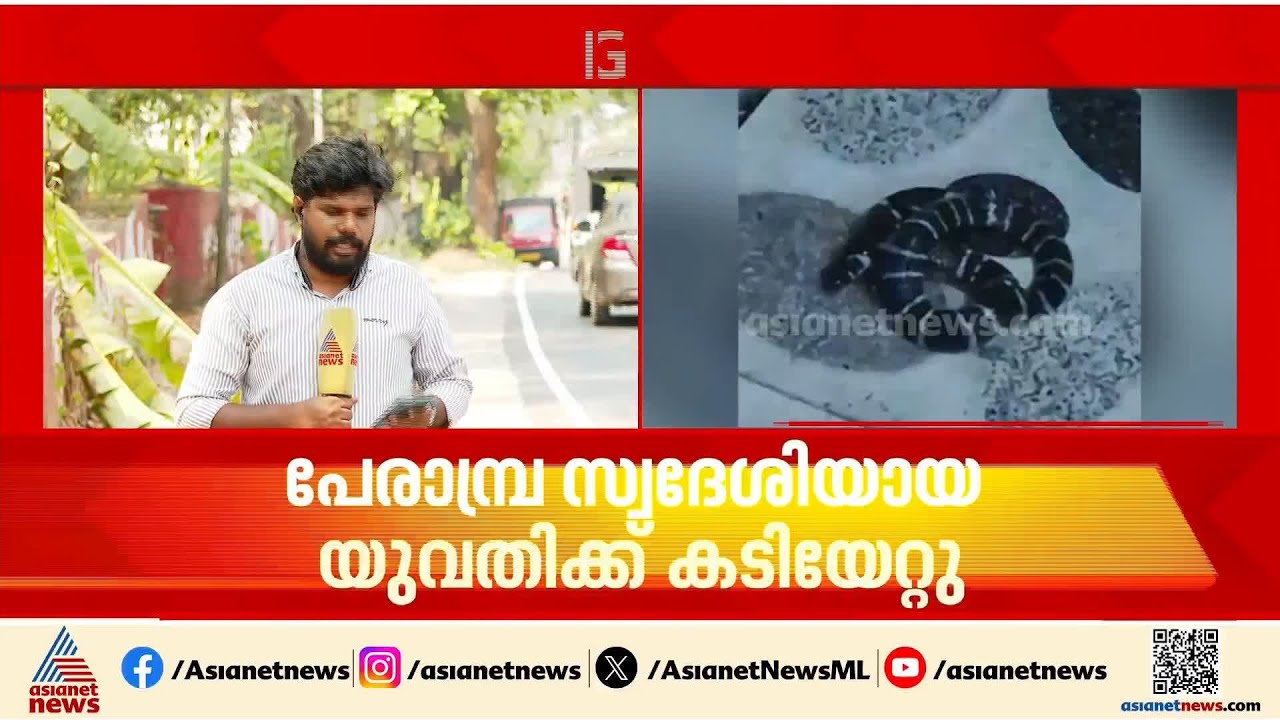 കോഴിക്കോട് പേരാമ്പ്രയിൽ യുവതിക്കും പൂനൂരിൽ 22 കാരനും പാമ്പ് കടിയേറ്റു | Kozhikode | Snake