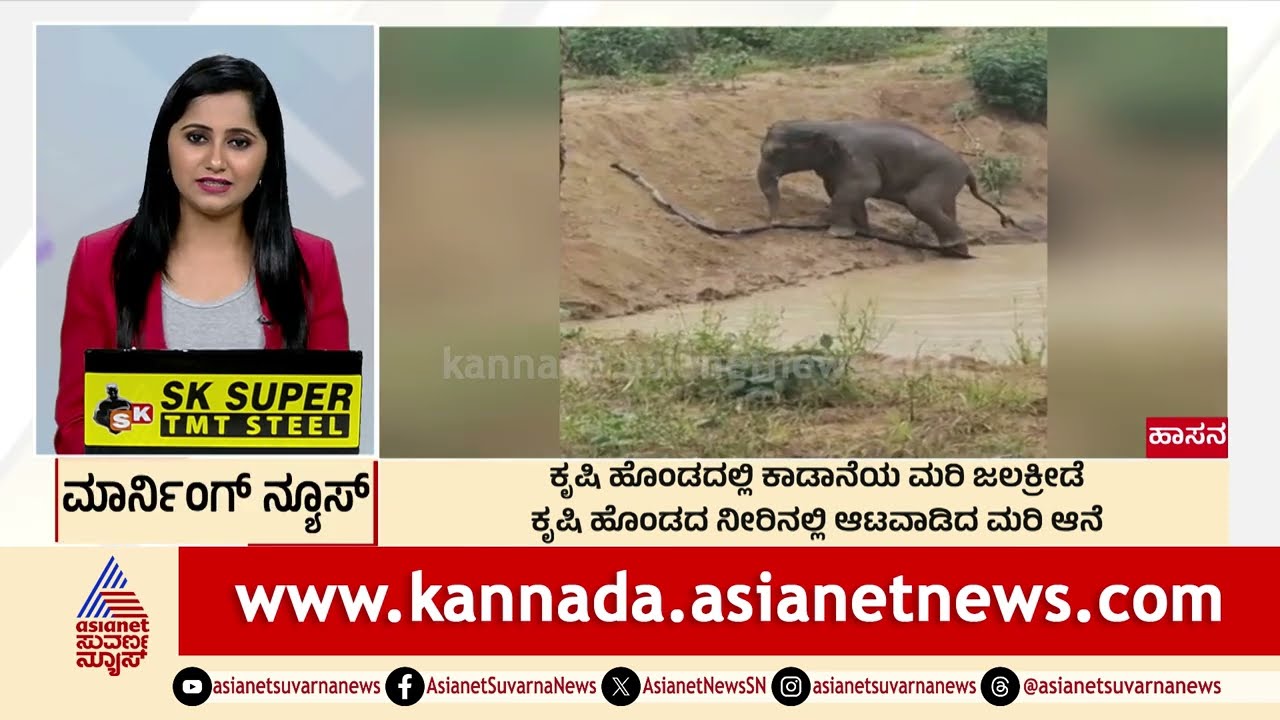 ನೀರಿನಲ್ಲಿ ಆಟ ಆಡಿದ ಮರಿ ಆನೆ