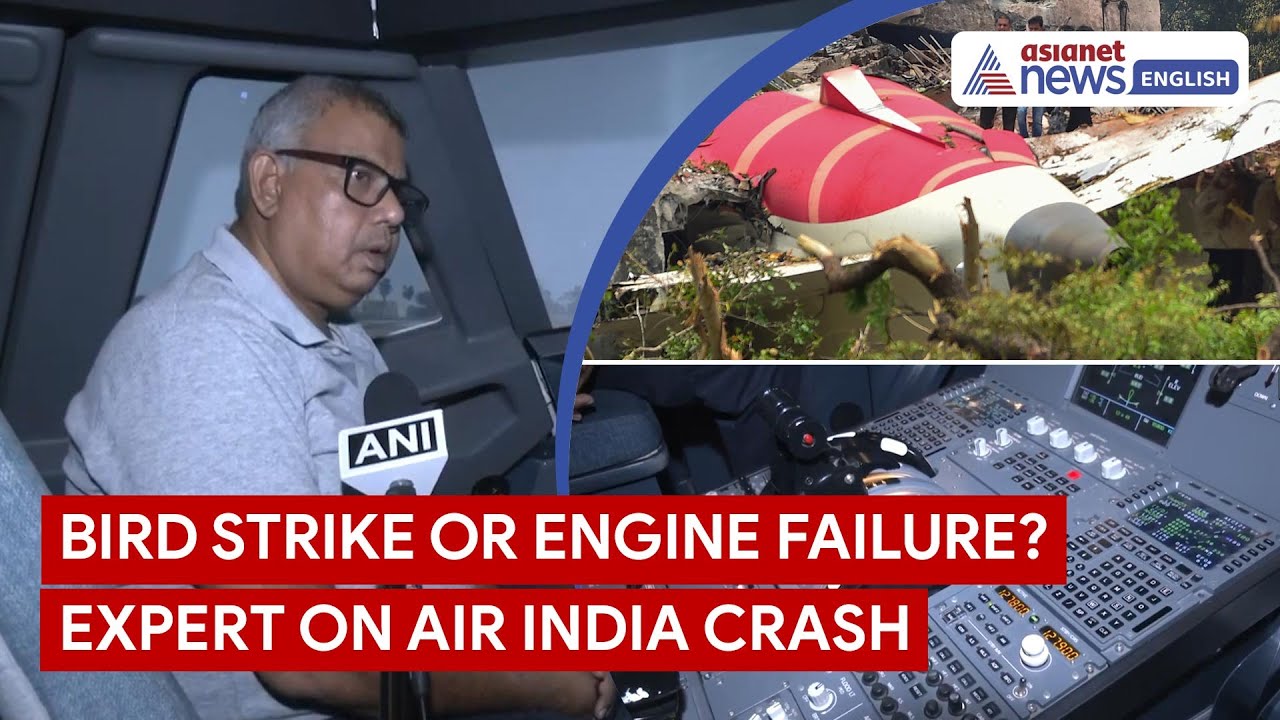Loss of Thrust, Bird Strike Likely Causes of Air India Crash: Aviation Expert
