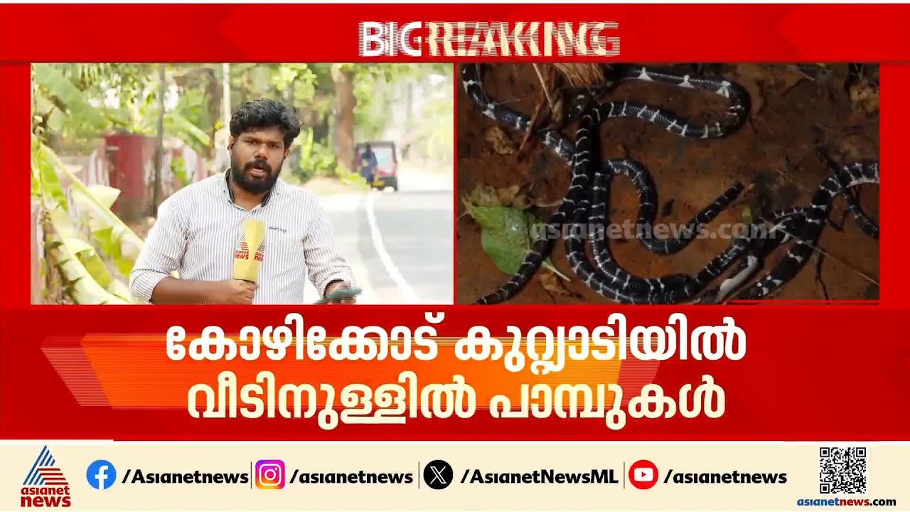 കോഴിക്കോട് കുറ്റ്യാടിയിൽ വീട്ടിൽ നിന്ന് അഞ്ച് പാമ്പുകളെ കണ്ടെത്തി