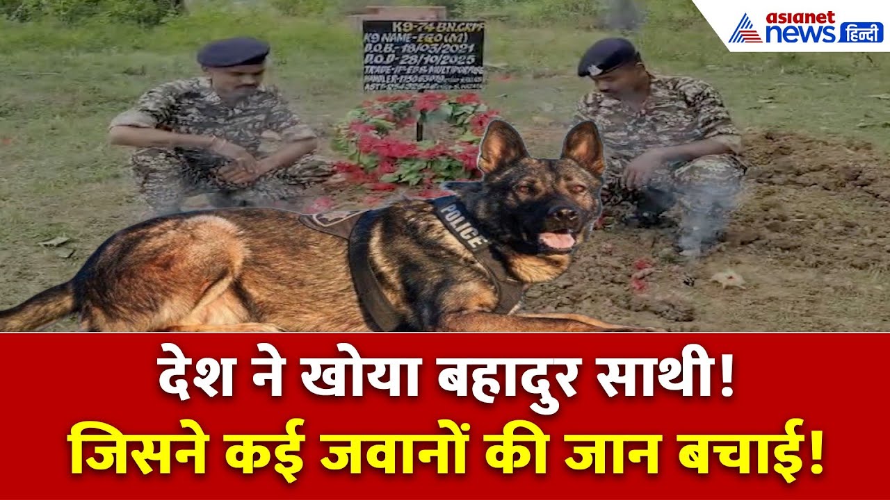 CRPF के वीर K-9 Dog “EGO” को आखिरी सलाम | Sukma में पूरे सैन्य सम्मान के साथ दी गई विदाई