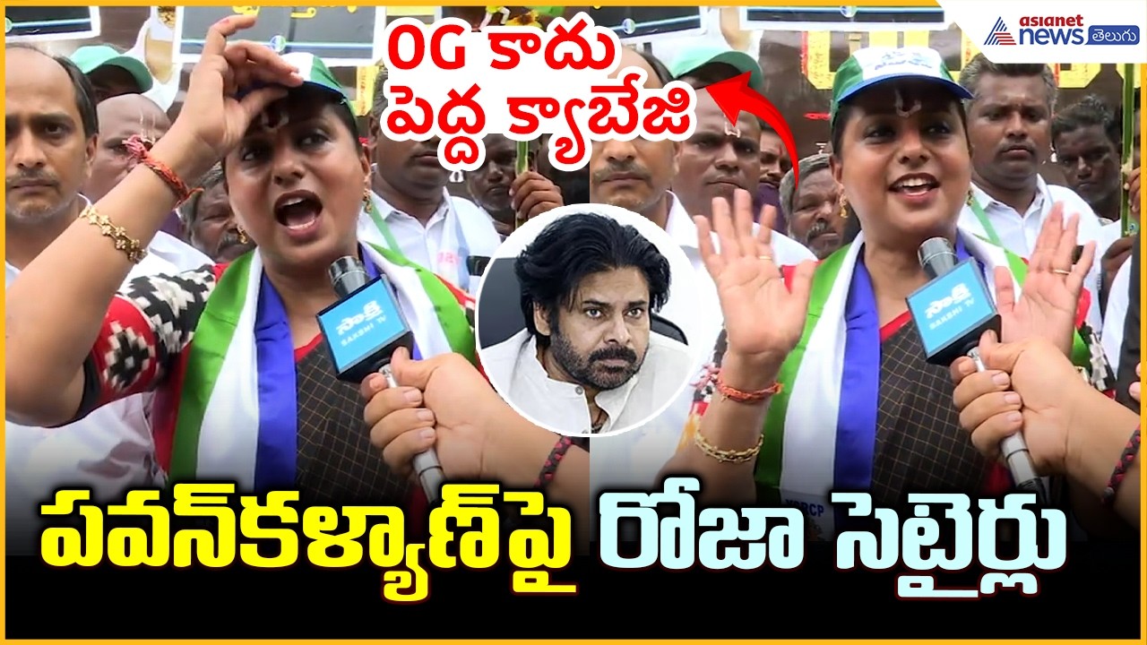 Roja vs Pawan Kalyan: OG కాదు పెద్ద క్యాబేజిపవన్ పై రోజా సెటైర్లు | Asianet News Telugu
