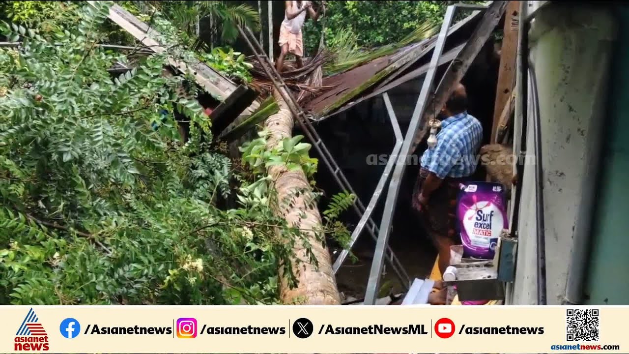 തൃശ്ശൂ‍ർ വീടിൻ്റെ മുകളിലേക്ക് തെങ്ങ് കടപുഴകി വീണു; കുടുംബം അത്ഭുതകരമായി രക്ഷപ്പെട്ടു
