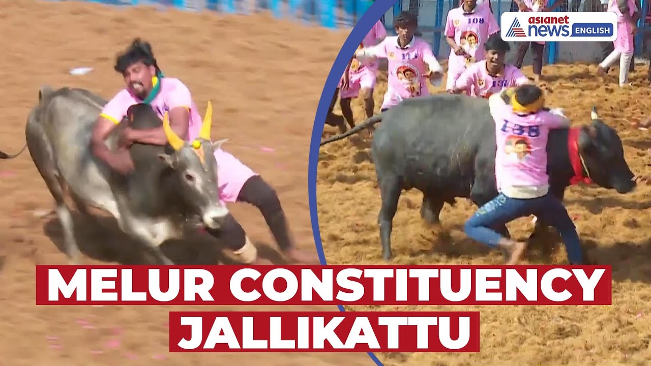 Kalaignar Centenary Jallikattu: Special Competition Held for Melur Constituency in Madurai