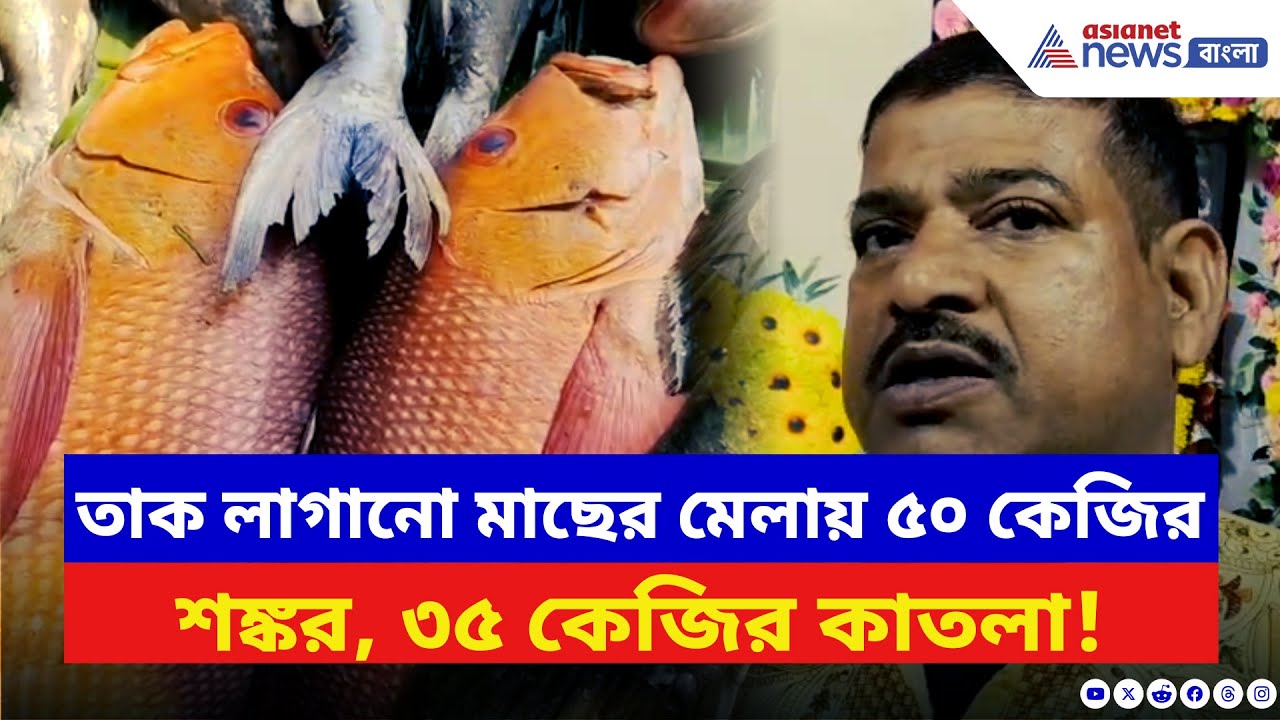 Kestopur Fish Fair 2026: কেষ্টপুরে ৪০ কেজির ভোলা, ৩৫ কেজির কাতলা! দেখুন ৫১৯ বছরের পুরনো মাছের মেলা
