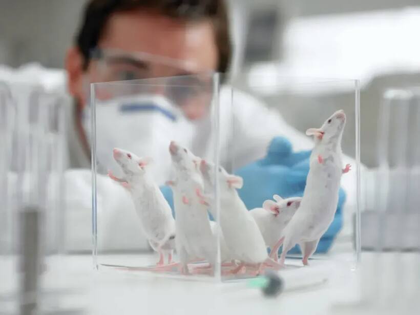 Nvidia-Backed Recursion Pharma Soars After-Hours As FDA Eyes AI Over Animal Testing For Drugs: Retail Traders Elated