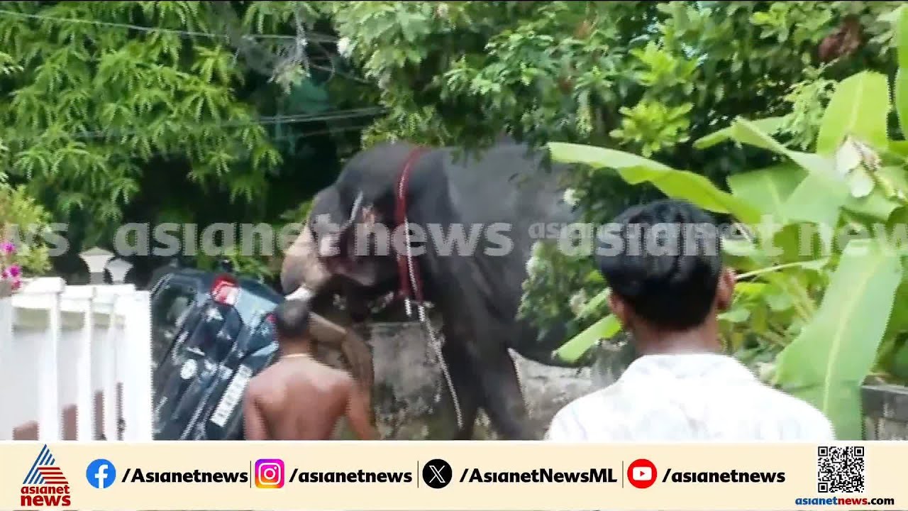 തൃശ്ശൂർ നഗരത്തിൽ ആനയിടഞ്ഞു;  ശിവം ലക്ഷ്മി അയ്യപ്പൻ എന്ന ആനയാണ് വിരണ്ടോടിയത്