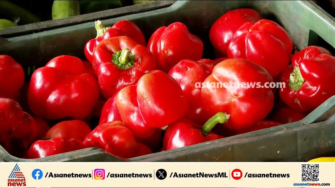 സാമ്പാറും അവിയലും ​ഗെറ്റ് ഔട്ട്....; പച്ചക്കറി തൊട്ടാൽ പൊള്ളും | Price hike | Vegetable