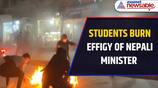 Nepali Minister's Effigy Burned, Student Unions Against Deposition of Power Chief's Removal