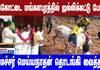 Jallikattu Competition Begins in Pudukkottai, Mangalapuram