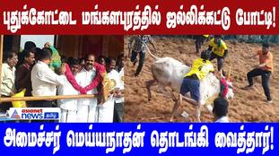 Jallikattu Competition Begins in Pudukkottai, Mangalapuram