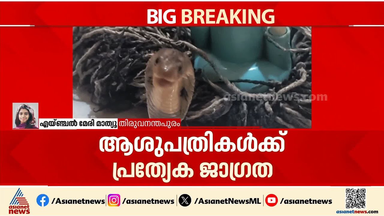 'അത്യാഹിത വിഭാഗത്തിൽ പാമ്പുകടി സാധ്യത നോക്കണം' ; ആശുപത്രികൾക്ക് പ്രത്യേക ജാഗ്രത നിർദേശം | Snake bite