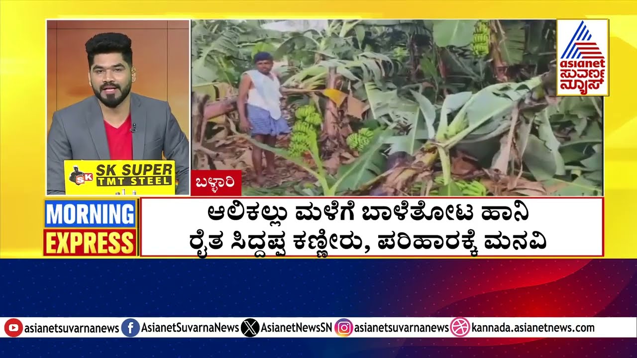 Hailstorm Damages Banana Plantation