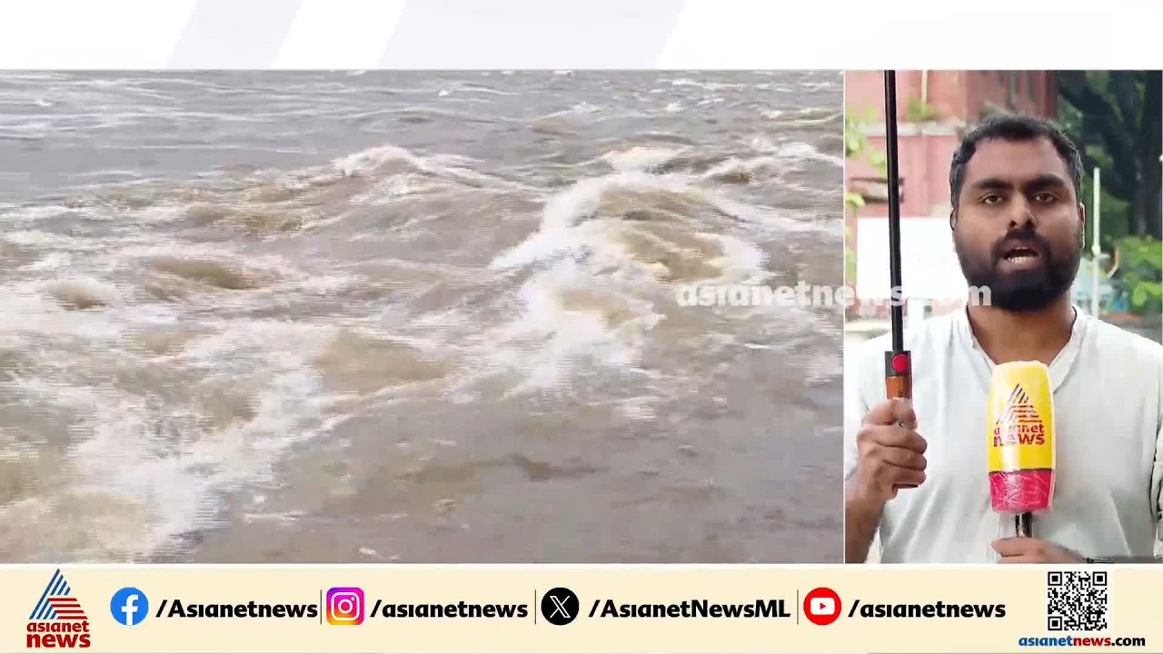 സംസ്ഥാനത്ത് പരക്കെ മഴയ്ക്ക് സാധ്യത; എല്ലാ ജില്ലകളിലും യെല്ലോ അലർട്ട് | Kerala Rains | Weather news