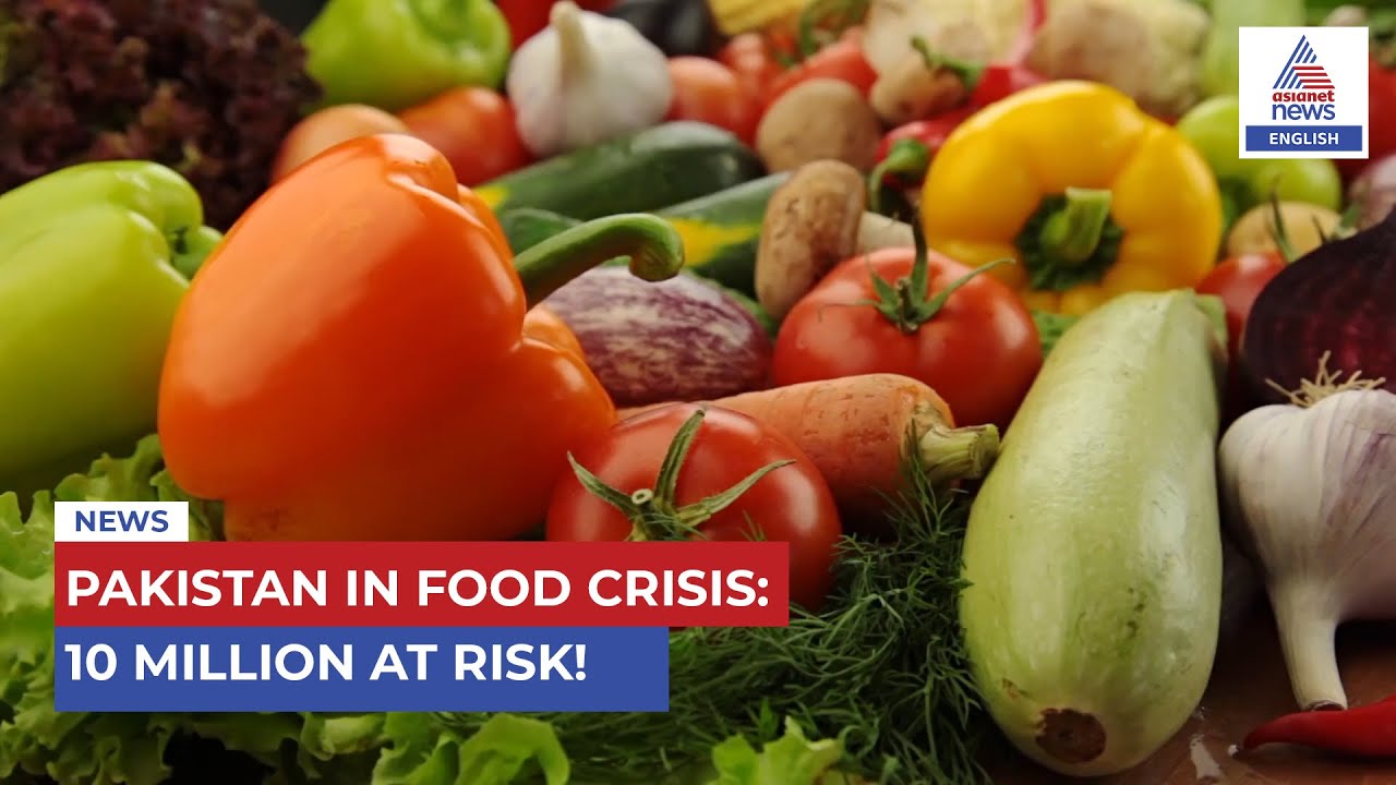 Pakistan Faces Catastrophic Food Crisis: 10 Million at Risk!