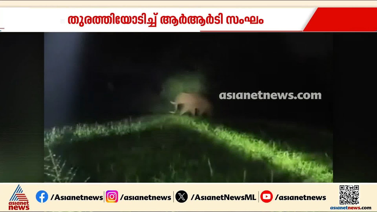 പാലക്കാട് എടത്തനാട്ടുകരയിൽ ജനവാസ മേഖലയിൽ ഇറങ്ങിയ കാട്ടാനയെ തുരത്തി ഓടിച്ചു