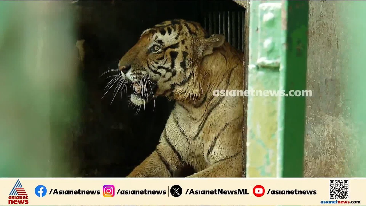 തിരുവനന്തപുരം മൃ​ഗശാല കാടുമായി ചേർന്ന ഇടത്തേക്ക് മാറ്റണമെന്ന് മുഖ്യമന്ത്രി | Thiruvananthapuram