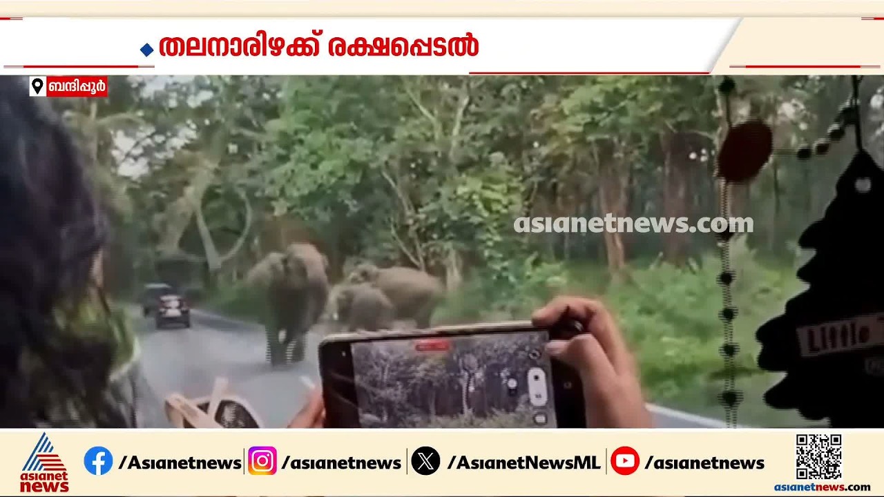 കാട്ടാനക്ക് മുന്നിൽ പെട്ട് വൈദികനും കുടുംബവും; തലനാരിഴയ്ക്ക് രക്ഷപെട്ടത് ഫാദർ റജി പോളും കുടുംബവും