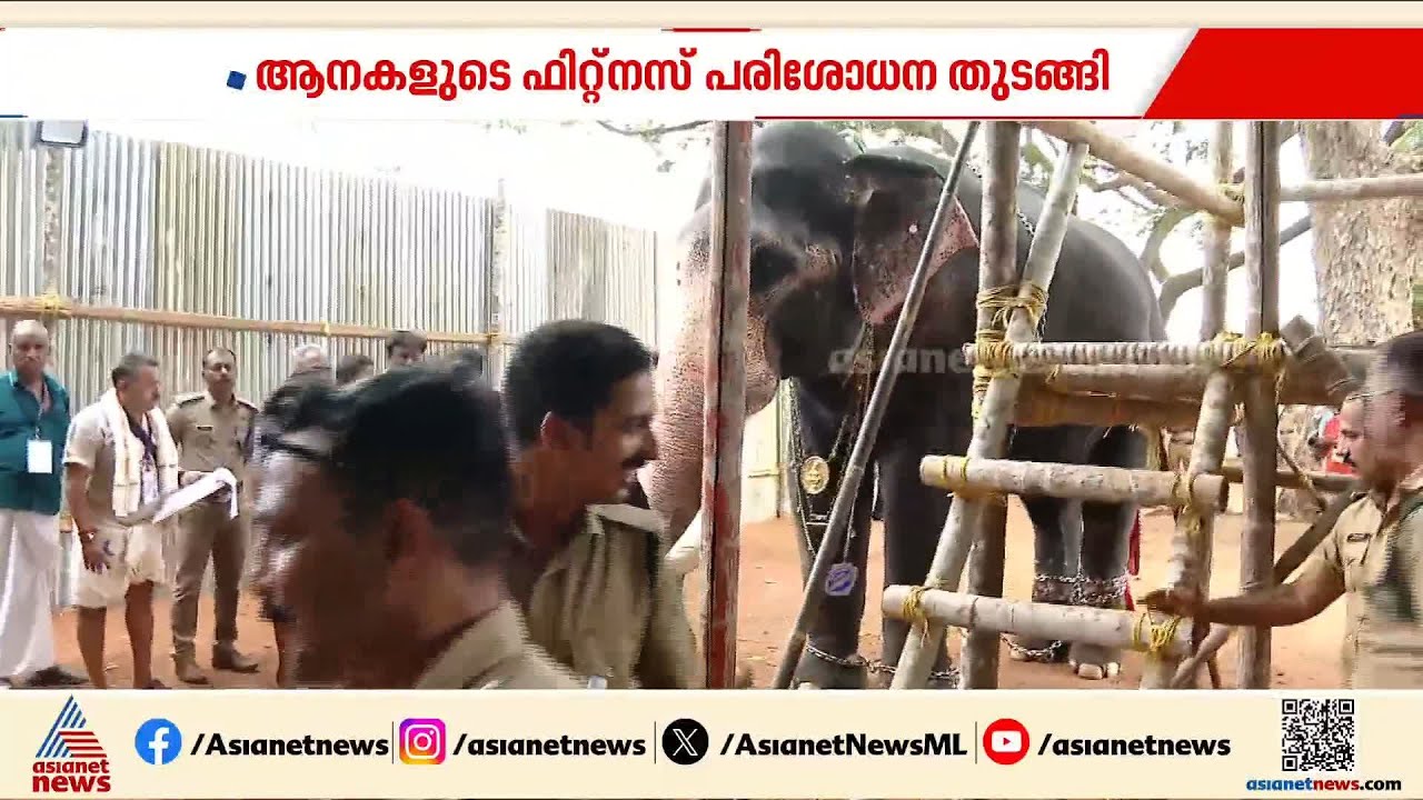 പൂരത്തിന് എഴുന്നള്ളിക്കേണ്ട ആനകളുടെ ഫിറ്റ്നസ് പരിശോധന തുടങ്ങി | Thrissur Pooram elephants