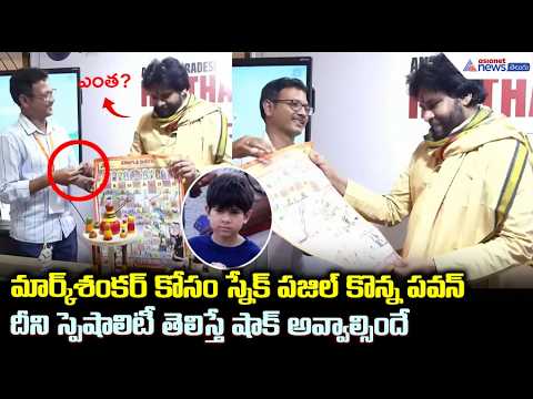 మార్క్ శంకర్ కోసం స్నేక్ పజిల్ కొన్న పవన్ దీని స్పెషాలిటీ తెలిస్తే షాక్ అవ్వాల్సిందే |  Handicrafts