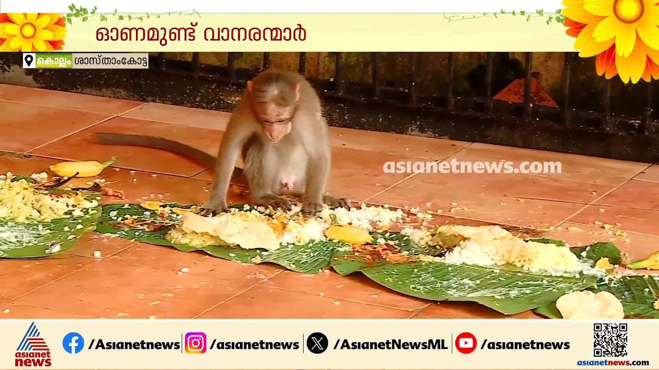 എല്ലാവരും ഓണം കൂടട്ടെ; ശാസ്താംകോട്ട ക്ഷേത്രത്തിൽ വാനരന്മാർക്ക് ഓണസദ്യ