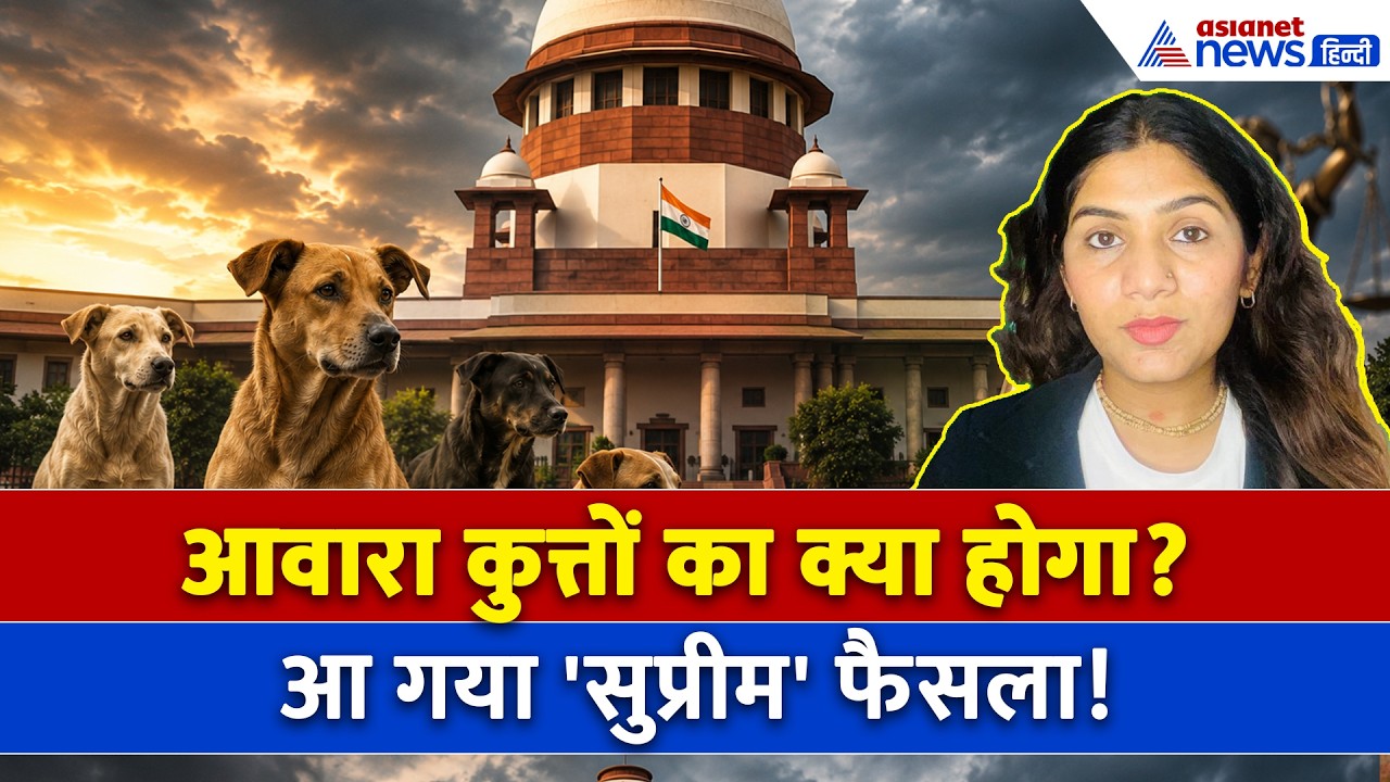 19 मई सुबह की बड़ी खबरें: 'पूरे देश से सड़कों से हटाए जाएंगे आवारा कुत्ते' SC ने आदेश रखा बरकरार