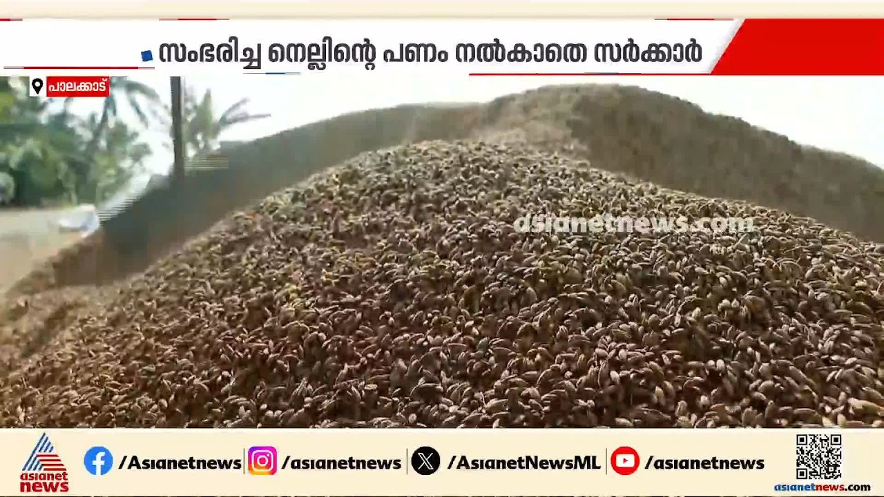 നെൽക്കർഷകർ ഓണത്തിനും പട്ടിണി; സംഭരിച്ച നെല്ലിന്റെ പണം നൽകാതെ സർക്കാർ | Paddy Farmers