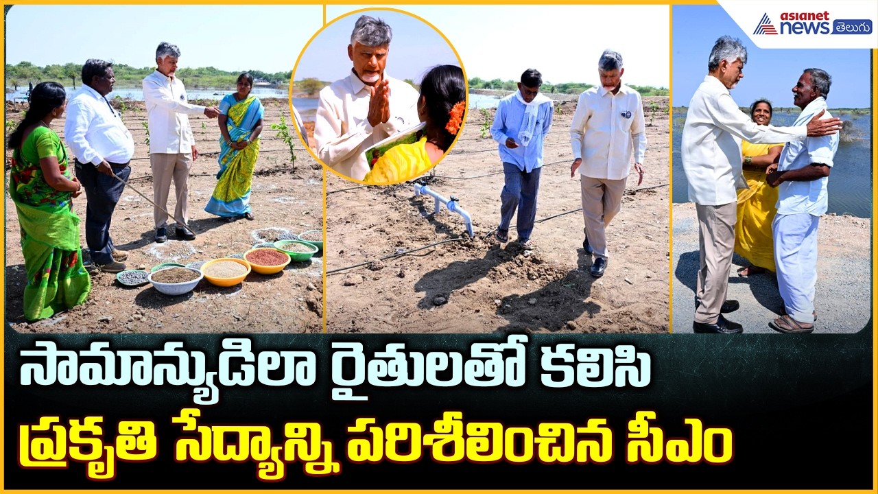 CM Chandrababu: సామాన్యుడిలా రైతులతో కలిసి ప్రకృతి సేద్యాన్ని పరిశీలించిన సీఎం | Asianet News Telugu