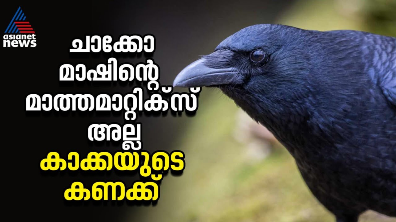 കണക്കും കാക്കയ്ക്ക് വശമുണ്ട് | Crow Experiment