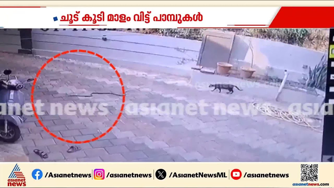 ചൂട് കൂടി , മാളം വിട്ട് പാമ്പുകൾ; ആശങ്കയിൽ ജനങ്ങൾ | Snake | Heat wave