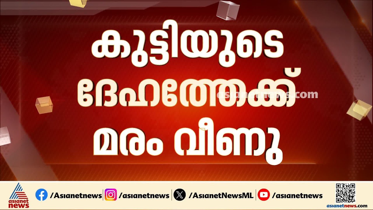 കുട്ടിയുടെ ദേഹത്തേക്ക് മരം വീണു; എട്ടാം ക്ലാസ് വിദ്യാർഥിയായ ഫയാസിന് പരിക്കേറ്റു| Kannur