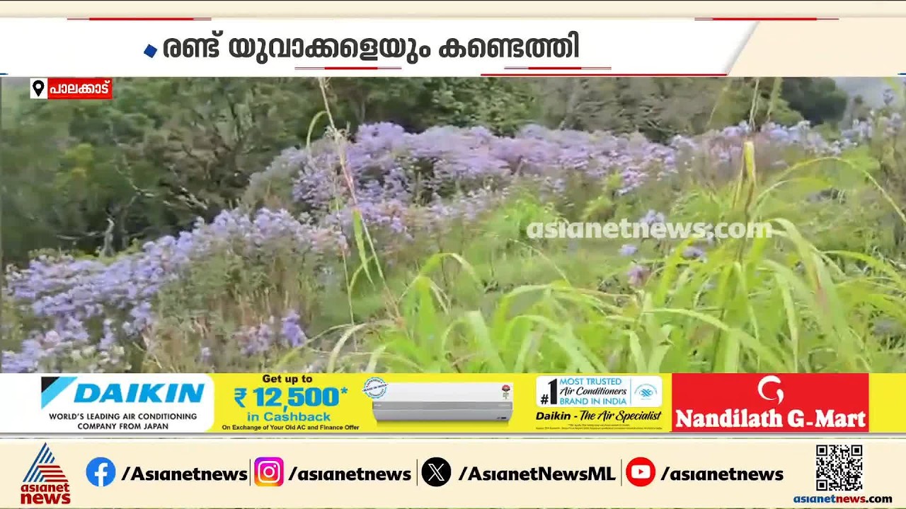 ചെന്താമലയിൽ നീലക്കുറിഞ്ഞി പൂത്തു; റീൽ ചിത്രീകരണത്തിന് പോയി വനത്തിൽ കുടുങ്ങിയ രണ്ട് പേർ തിരിച്ചെത്തി