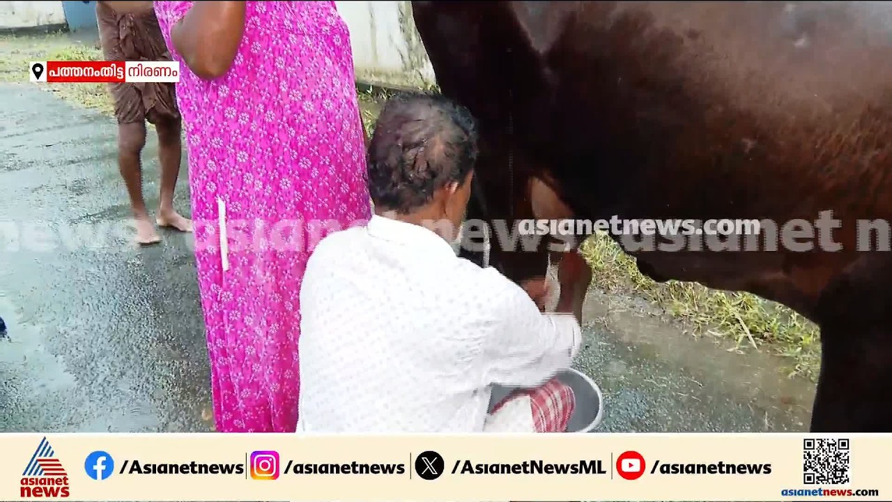 വീടും തൊഴുത്തുമെല്ലാം വെള്ളത്തില്‍, വഴിയരികില്‍ പശുവിനെ കറന്ന് ക്ഷീരകര്‍ഷകര്‍