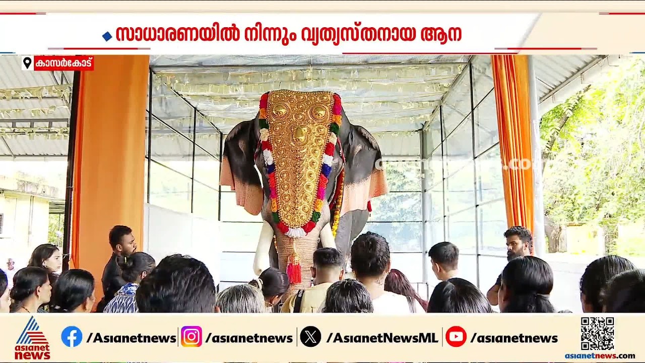 ഗുരുപുരം മഹാവിഷ്ണു ക്ഷേത്രത്തിൽ തിടമ്പേറ്റാൻ ഇനി 'ഗുരുപുരം അർജുനൻ'