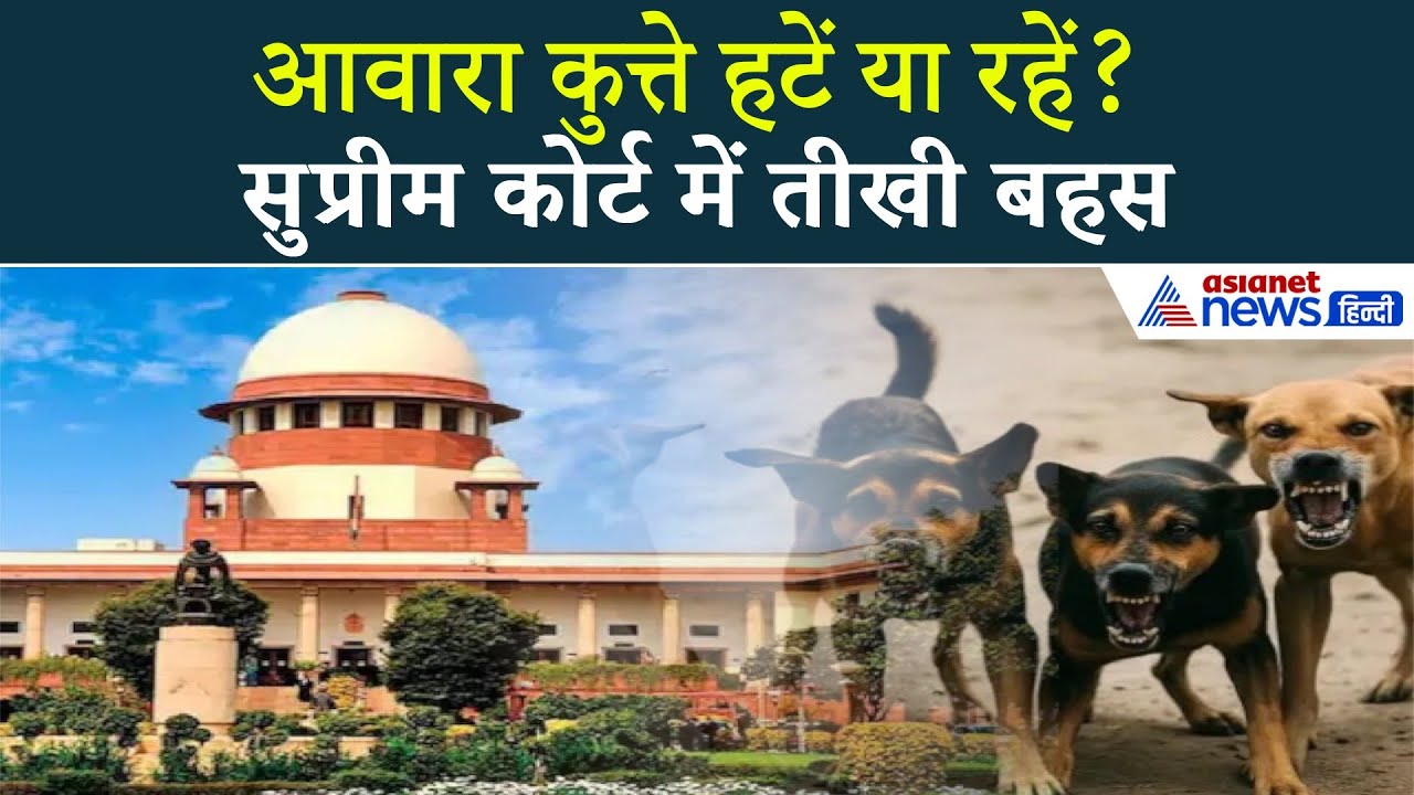 कुत्ते हटेंगे तो चूहे बढ़ेंगे? सुप्रीम कोर्ट की सुनवाई में तंज