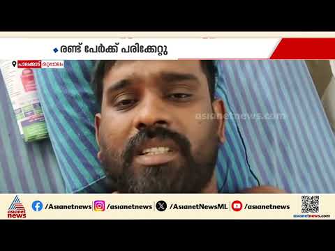 ചിനക്കത്തൂര്‍ പൂരത്തിനിടെ പൂര കമ്മിറ്റി അംഗങ്ങൾ  തമ്മിൽ തല്ലി; രണ്ട് പേർക്ക് പരിക്ക് | Palakkad