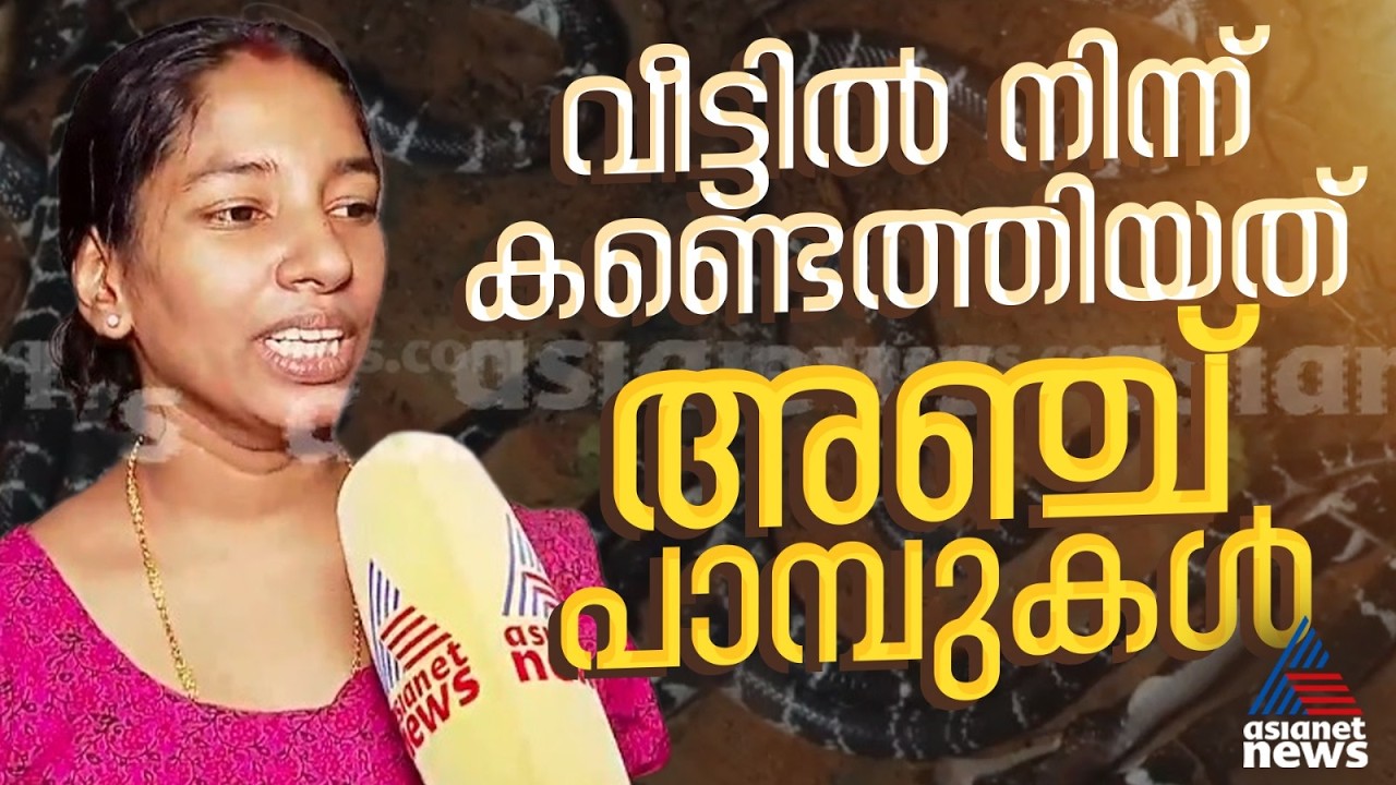 'എന്തോ ഭാഗ്യത്തിനാണ് കുട്ടികൾ രക്ഷപ്പെട്ടത്'; കുറ്റ്യാടിയിൽ  വീട്ടിൽ നിന്ന് 5 പാമ്പുകളെ കണ്ടെത്തി