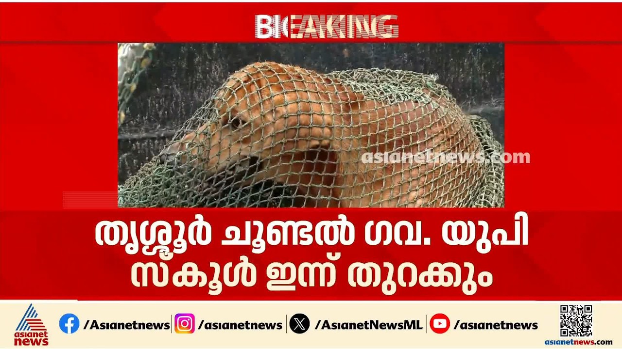 നായകളെ പേടിച്ച് അവധി നൽകിയ തൃശൂർ ചൂണ്ടൽ സ്കൂൾ ഇന്ന് തുറക്കും