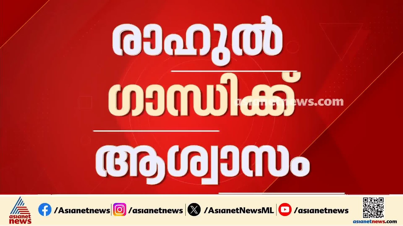 രാഹുൽ ​ഗാന്ധിക്ക് ആശ്വാസം; അനധികൃത സ്വത്ത് സമ്പാദന കേസിൽ തുടർനടപടികൾ താത്കാലികമായി തടഞ്ഞു