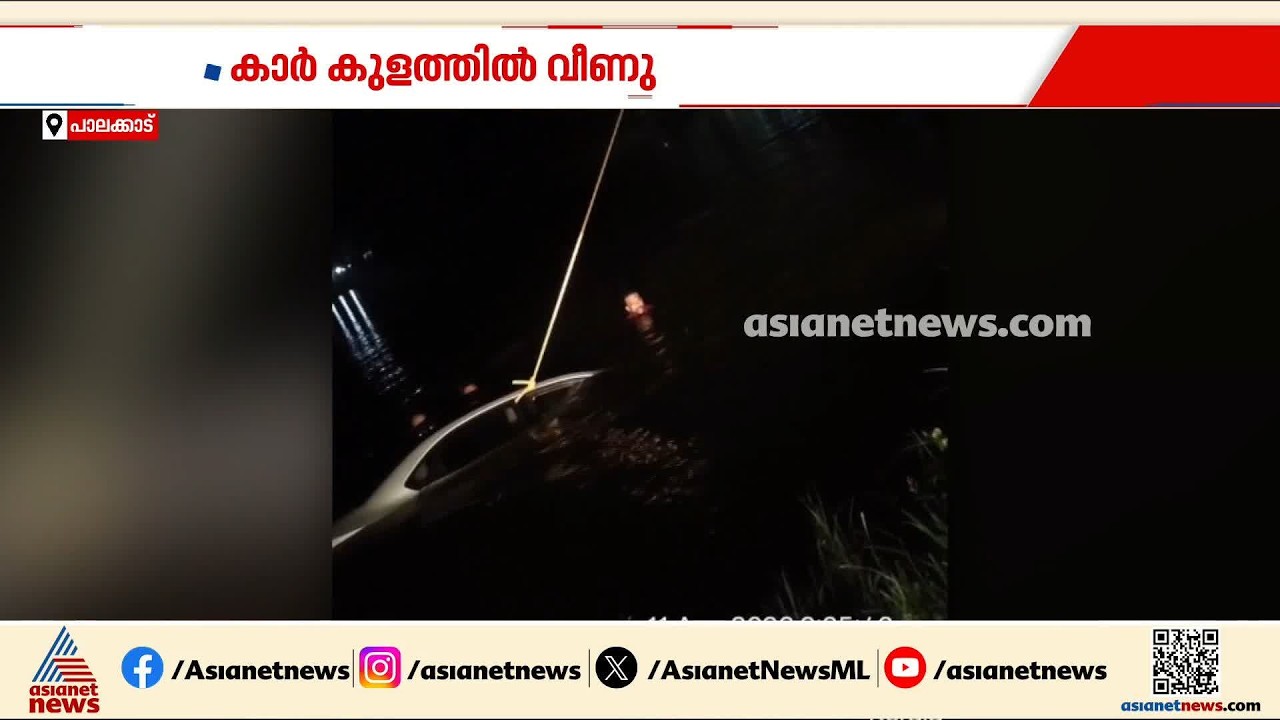പാലക്കാട് കാട്ടുപന്നി കുറുകെ ചാടി നിയന്ത്രണം വിട്ട കാർ കുളത്തിൽ വീണു