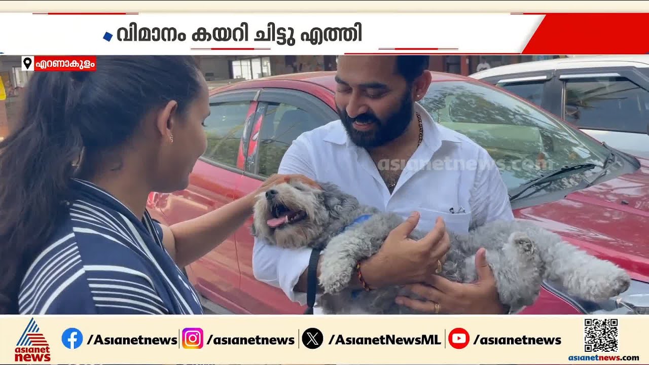 ചിട്ടു വിമാനം കയറി കൊച്ചിയിൽ എത്തി; വളർത്തുനായയെ തിരികെ ലഭിച്ച സന്തോഷത്തിൽ ഉടമകൾ