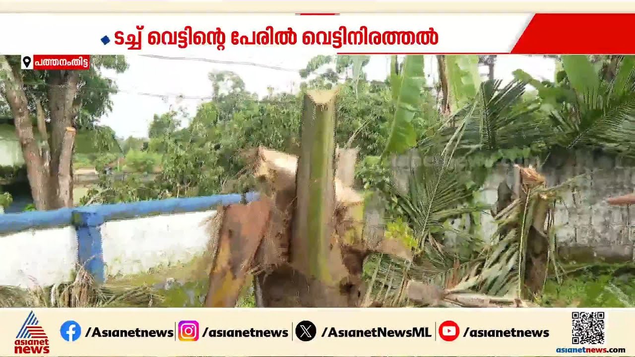 ടച്ച് വെട്ടിൻ്റെ പേരിൽ KSEBയുടെ വെട്ടിനിരത്തൽ; നിയമനടപടിക്കൊരുങ്ങി കുടുംബം