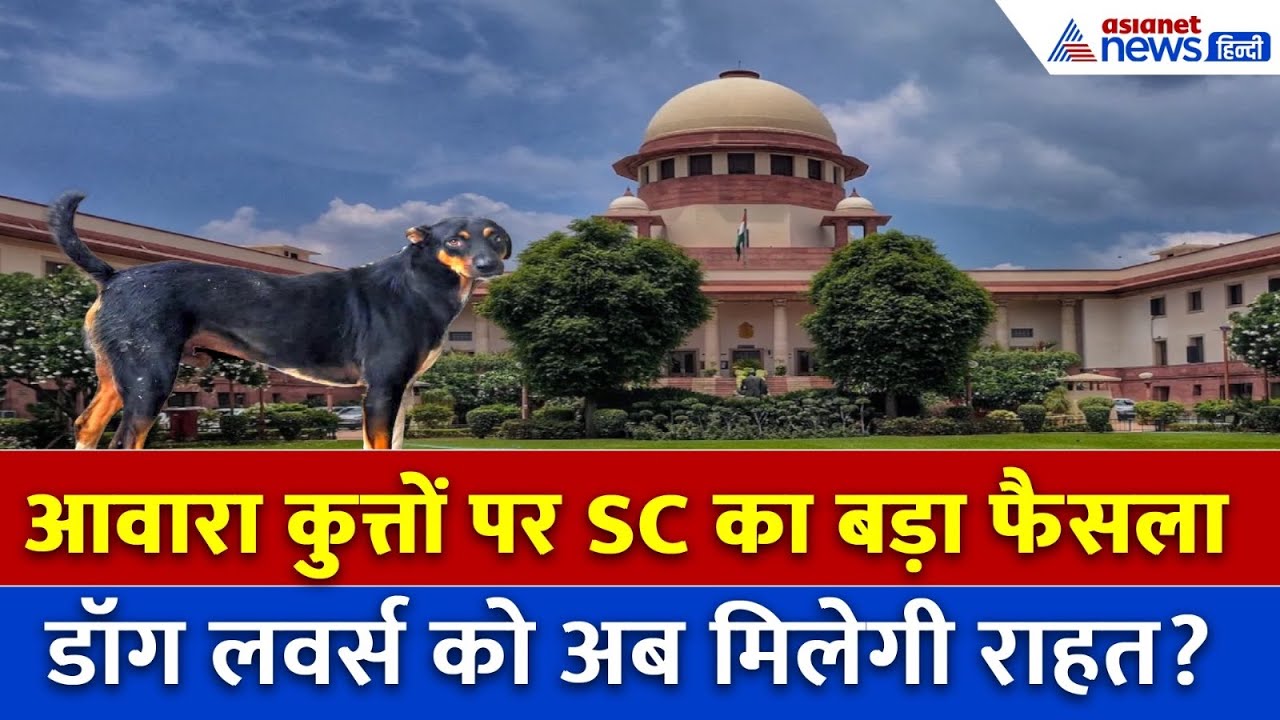 Supreme Court on Stray Dogs: शेल्टर होम नहीं, नसबंदी ही हल! आवारा कुत्तों पर आया सुप्रीम फैसला